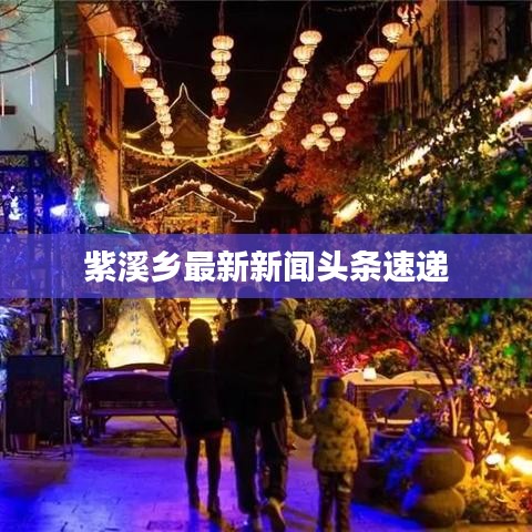 紫溪乡最新新闻头条速递