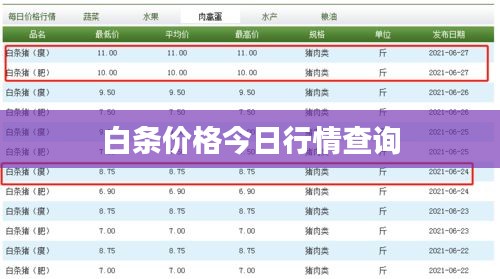 白条价格今日行情查询