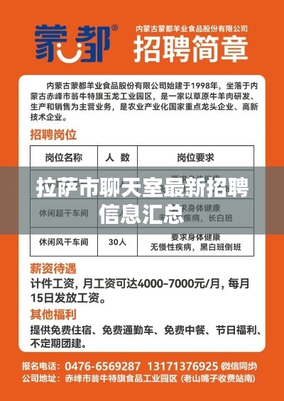 拉萨市聊天室最新招聘信息汇总