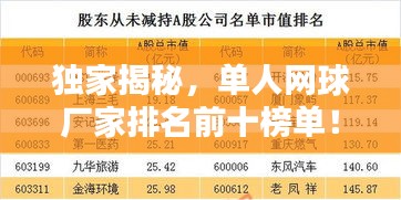 独家揭秘，单人网球厂家排名前十榜单！