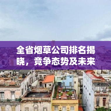 全省烟草公司排名揭晓，竞争态势及未来展望分析
