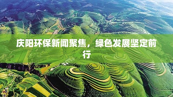 庆阳环保新闻聚焦，绿色发展坚定前行