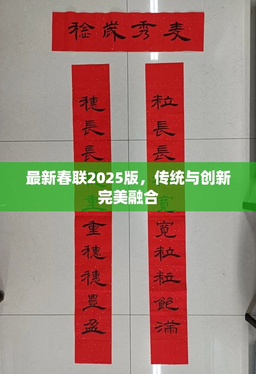 最新春联2025版，传统与创新完美融合