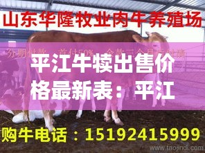 平江牛犊出售价格最新表：平江县养殖 