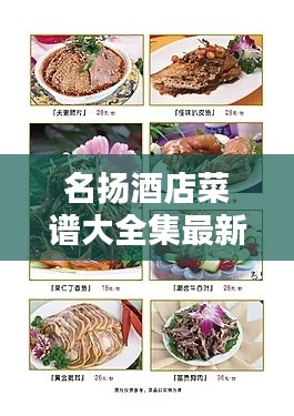 名扬酒店菜谱大全集最新：名扬餐饮 