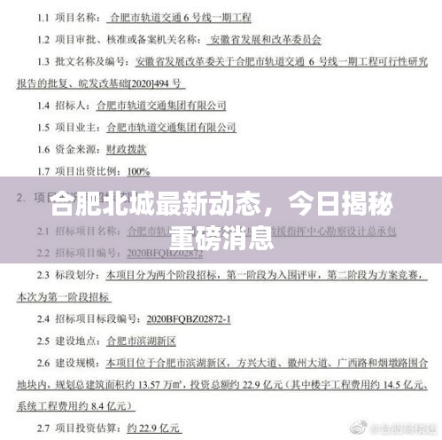 合肥北城最新动态，今日揭秘重磅消息