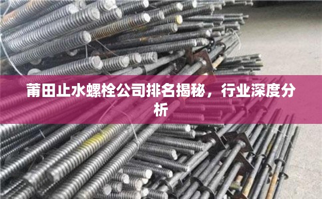 莆田止水螺栓公司排名揭秘，行业深度分析