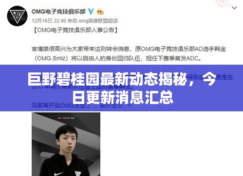 巨野碧桂园最新动态揭秘，今日更新消息汇总