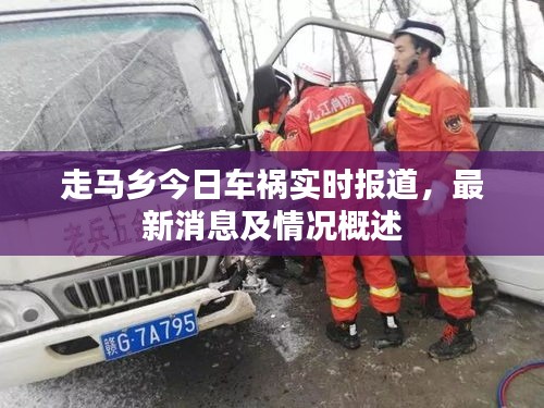 走马乡今日车祸实时报道，最新消息及情况概述