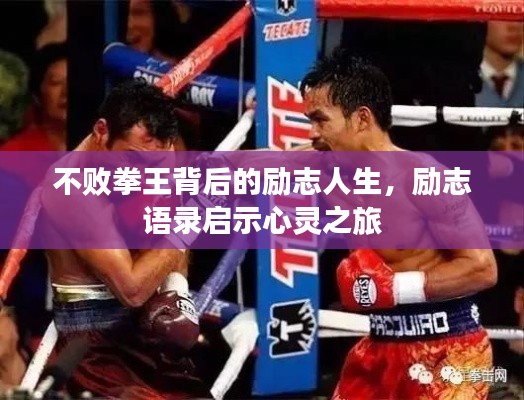 不败拳王背后的励志人生，励志语录启示心灵之旅