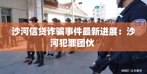 沙河信贷诈骗事件最新进展：沙河犯罪团伙 