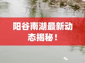 阳谷南湖最新动态揭秘！