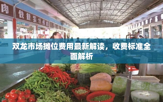双龙市场摊位费用最新解读，收费标准全面解析