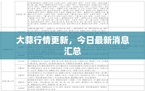 大蒜行情更新，今日最新消息汇总