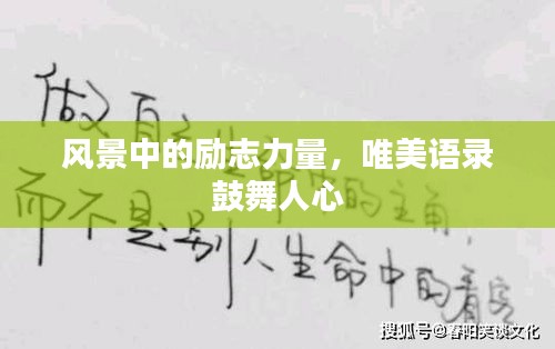 管窥蛙见 第2页