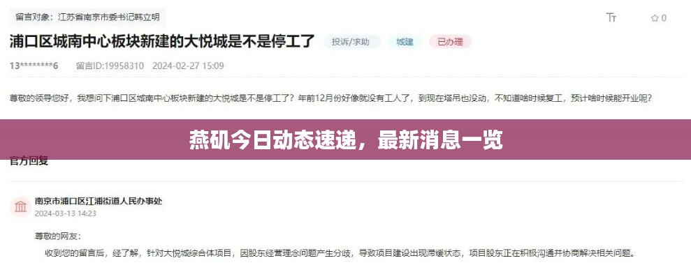 燕矶今日动态速递，最新消息一览