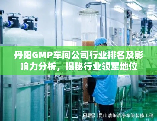 丹阳GMP车间公司行业排名及影响力分析，揭秘行业领军地位
