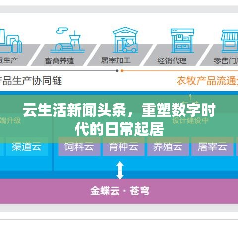 十年磨剑 第2页