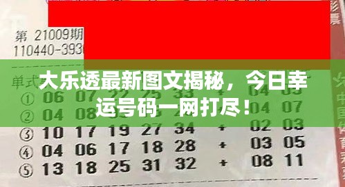 大乐透最新图文揭秘，今日幸运号码一网打尽！