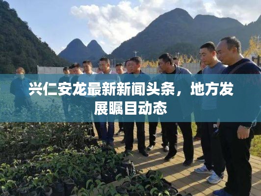 兴仁安龙最新新闻头条，地方发展瞩目动态