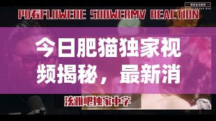 今日肥猫独家视频揭秘，最新消息抢先看！