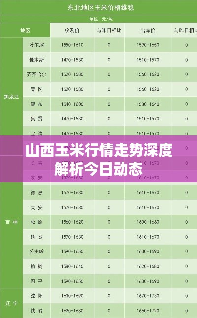 山西玉米行情走势深度解析今日动态