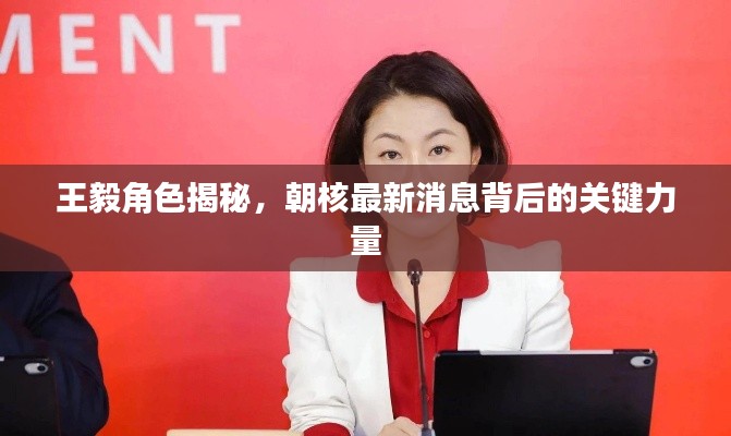 王毅角色揭秘，朝核最新消息背后的关键力量