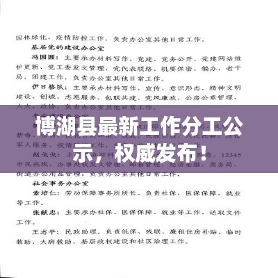 博湖县最新工作分工公示，权威发布！