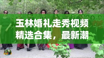 玉林婚礼走秀视频精选合集，最新潮流现场一网打尽