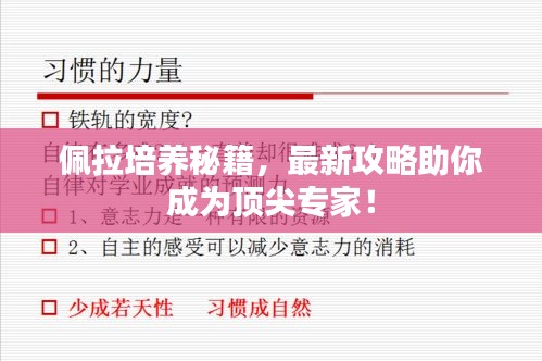 佩拉培养秘籍，最新攻略助你成为顶尖专家！