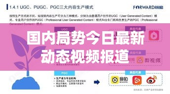 国内局势今日最新动态视频报道