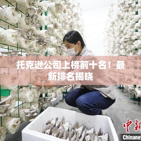 托克逊公司上榜前十名！最新排名揭晓