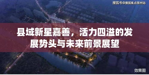 县域新星嘉善，活力四溢的发展势头与未来前景展望