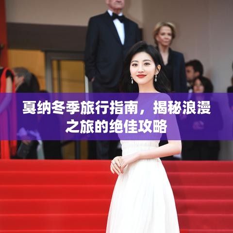 戛纳冬季旅行指南，揭秘浪漫之旅的绝佳攻略