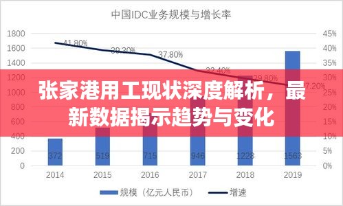 张家港用工现状深度解析，最新数据揭示趋势与变化
