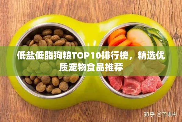 低盐低脂狗粮TOP10排行榜，精选优质宠物食品推荐