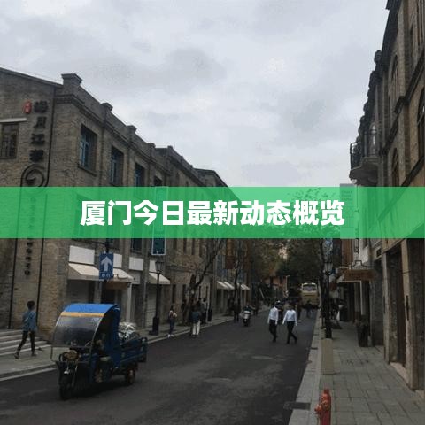 厦门今日最新动态概览