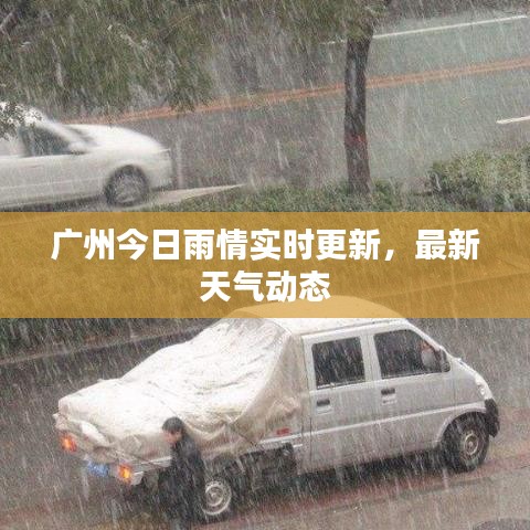 广州今日雨情实时更新，最新天气动态