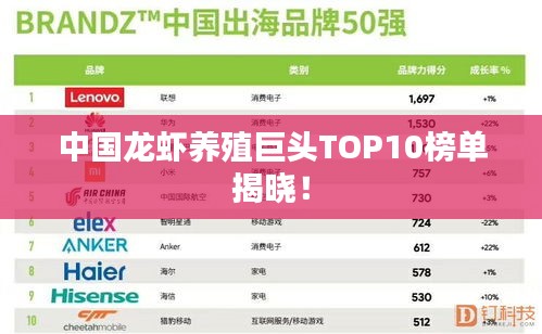 中国龙虾养殖巨头TOP10榜单揭晓！