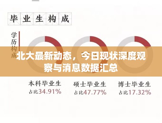 北大最新动态，今日现状深度观察与消息数据汇总