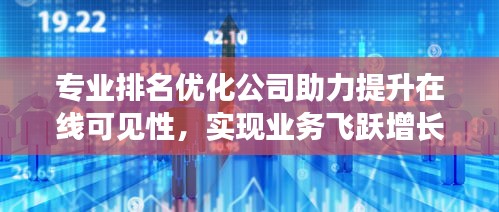 专业排名优化公司助力提升在线可见性，实现业务飞跃增长！
