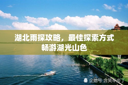 走马观花 第3页