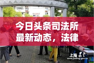 今日头条司法所最新动态，法律实施与社会反响