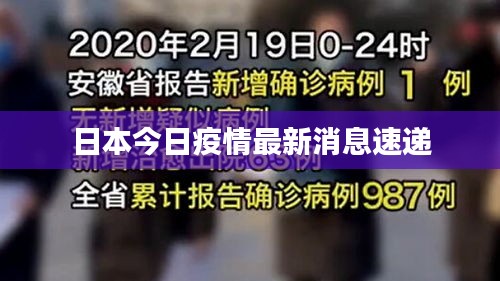 日本今日疫情最新消息速递