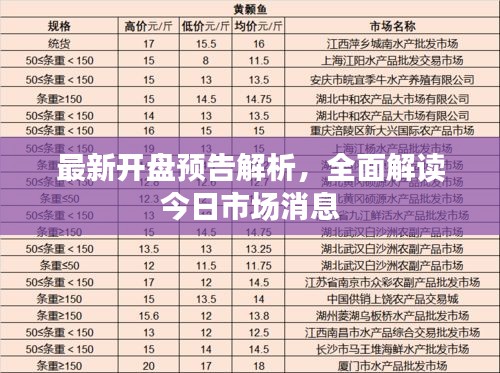 最新开盘预告解析，全面解读今日市场消息