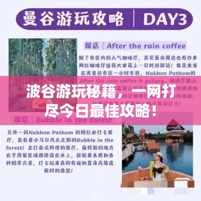 波谷游玩秘籍，一网打尽今日最佳攻略！