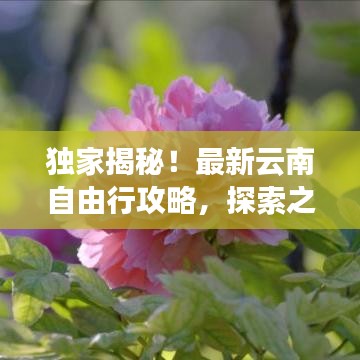 独家揭秘！最新云南自由行攻略，探索之旅不容错过！