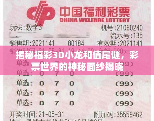 揭秘福彩3D小龙和值尾谜，彩票世界的神秘面纱揭晓