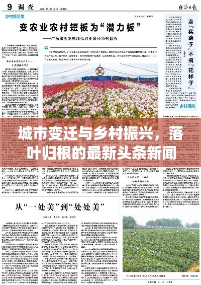 城市变迁与乡村振兴，落叶归根的最新头条新闻