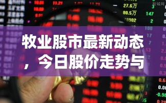 牧业股市最新动态，今日股价走势与行业消息一览